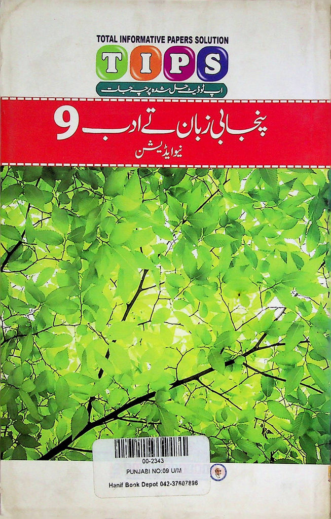 Tips Punjabi Class 9th Past Papers | Punjabi class 9th Past papers