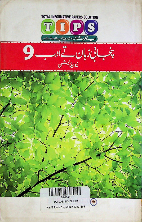 Tips Punjabi Class 9th Past Papers | Punjabi class 9th Past papers