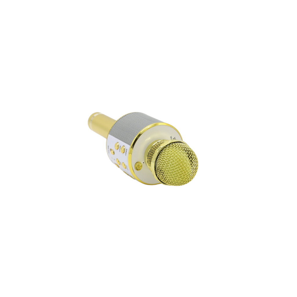 Wireless Microphone Golden